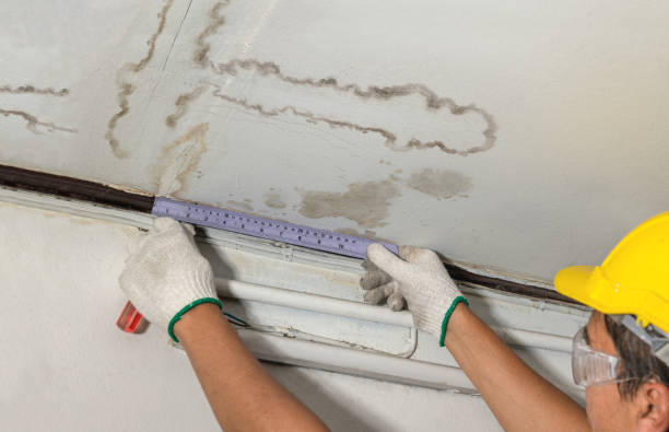 Reliable Water Damage contractor in Beaverton, MI by Water Damage Irwin